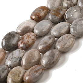 Natural Crazy Agate Beads Strands, Flat Oval