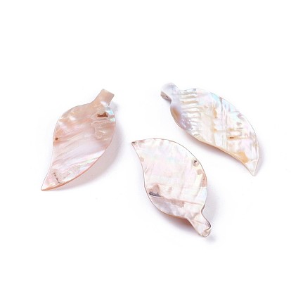 Пресноводных оболочки большие кулоны, лист