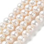 Natural Cultured Freshwater Pearl Beads Strands, Potato, Grade 2A