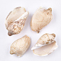 Spiral Shell Beads, Undrilled/No Hole Beads