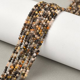 Натуральные бусины из яшмы шмеля, граненые, круглые