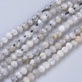 Natural Rainbow Moonstone Beads Strands, Round, Faceted