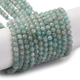 Natural Amazonite Beads Strands, Faceted, Round