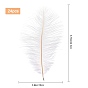 Gorgecraft 24Pcs Ostrich Feather Costume Accessories, Sewing Craft Decoration, Feather