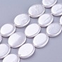 Shell Pearl Beads Strands, Oval