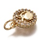 Brass Micro Pave Clear Cubic Zirconia Charms, Long-Lasting Plated, with Jump Ring, Flat Round with Apple