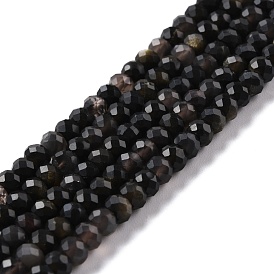 Natural Golden Sheen Obsidian Beads Strands, Faceted, Rondelle