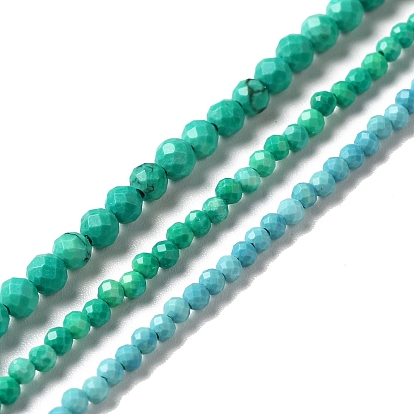 Natural Howlite Beads Strands, Dyed, Faceted, Round