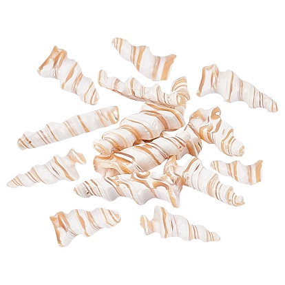 Natural Trochid Shell/Trochus Shell Beads, Top Drilled Beads, Spiral