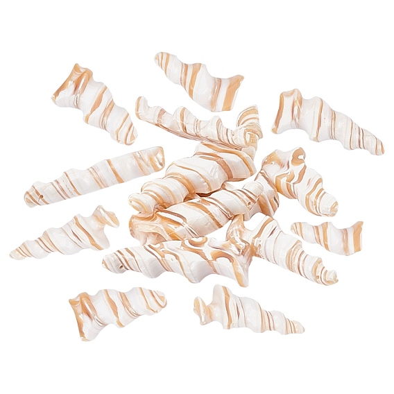 Natural Trochid Shell/Trochus Shell Beads, Top Drilled Beads, Spiral