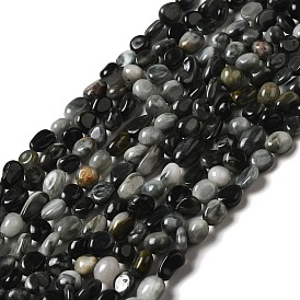 Natural Eagle Eye Stone Beads Strands, Nuggets