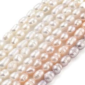 Natural Cultured Freshwater Pearl Beads Strands, Rice