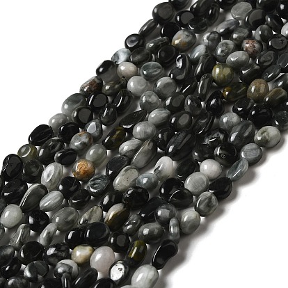 Natural Eagle Eye Stone Beads Strands, Nuggets