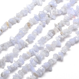 Natural Blue Lace Agate Chips Beads Strands, 5~8x5~8mm, Hole: 1mm, about 31.5 inch