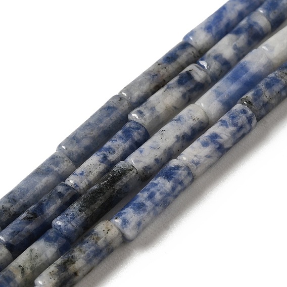 Natural Blue Spot Jasper Beads Strands, Column