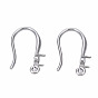 316 Surgical Stainless Steel Hook with Rhinestone Settings and Horizontal Loop, Ear Wire