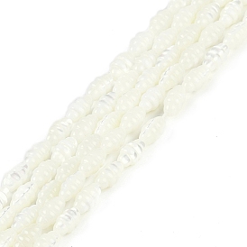 Natural Freshwater Shell Beads Strands, Cloud