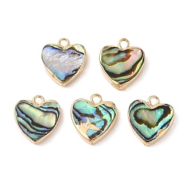 Natural Paua Shell Heart Charms with Brass Edge