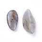 Natural Labradorite Beads, Undrilled/No Hole, Chips