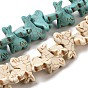 Synthetic Turquoise Beads Strands, Sea Dog