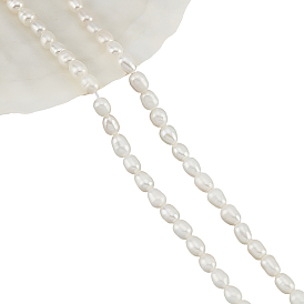 1 Strand Natural Cultured Freshwater Pearl Oval Beads Strands