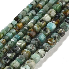 Natural African Turquoise(Jasper) Beads Strands, Faceted, Cube