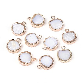 Подвески из гальванических натуральных пресноводных ракушек, подвески в форме ракушек, с железной и латунной фурнитурой, золотые