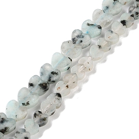 Natural Sesame Jasper Beads Strands, Heart