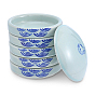 Fish Pattern Ceramic Watercolor Palette with Lid, 5 Layer Paint Tray