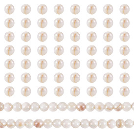 2 Strands AB Color Natural Freshwater Shell Beads Strands, Round