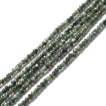 Natural Seraphinite Beads Strands, Faceted, Round