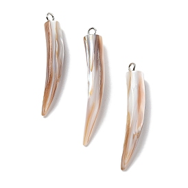 Natural Freshwater Shell Pendants with Iron Bails, Dentation Charm