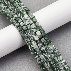 Натуральные зеленые пятна яшмовых нитей, кубические