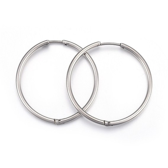 304 Stainless Steel Huggie Hoop Earrings