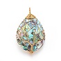Abalone Shell/Paua Shell Wire Wrapped Big Pendants, with Brass Findings, Teardrop with Tree