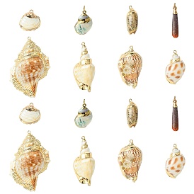 16 шт. 8 стили гальванизированные натуральные смешанные ракушки большие подвески, подвески в форме ракушек с золотистыми железными петлями