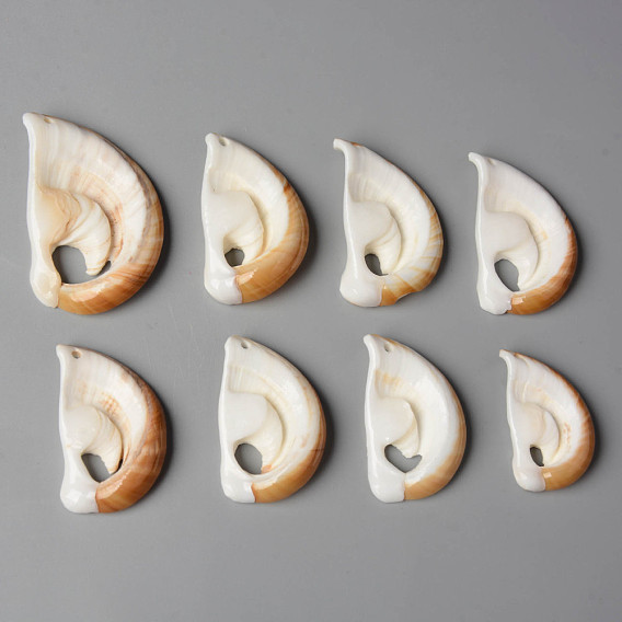 Natural Cowrie Shell Pendants, Half Round