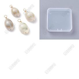 50 pcs colgantes de concha de cauri natural, dijes de concha con alambre de cobre ecológico chapado en oro real 18k