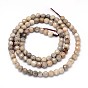 Natural Fossil Coral Round Bead Strands, Faceted