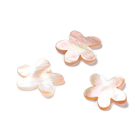 Coquillage cabochons, fleur
