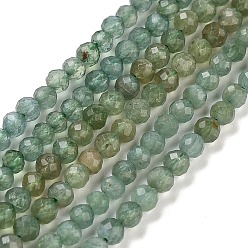 Natural Green Apatite Beads Strands, Faceted, Round