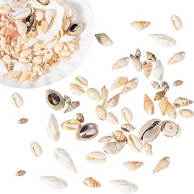 Mixed Shell Beads, Mixed Shapes