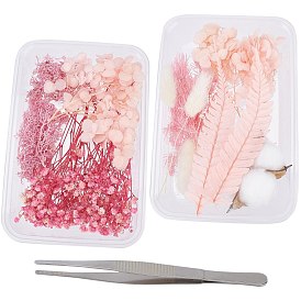 Gorgecraft 2 Sets Pink Series Dry Flower Accessories Set, with Stainless Steel Tweezers, for DIY Bride's Headwear Garland Frame Group Fan Floating
