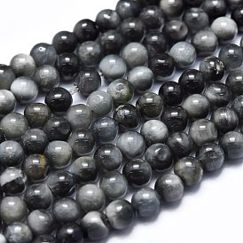 Natural Hawk's Eye Beads Strands, Eagle Eye Stone, Round