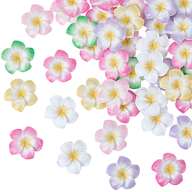 Кабошоны из непрозрачной смолы в виде цветка плюмерии