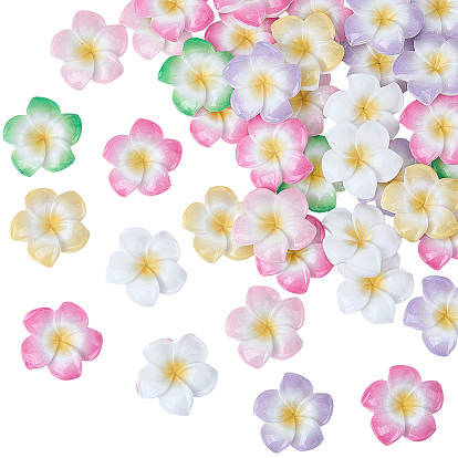 Кабошоны из непрозрачной смолы в виде цветка плюмерии