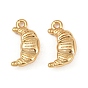 Brass Charms, Long-Lasting Plated, Nickel Free