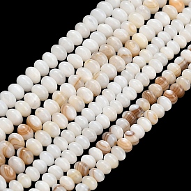 Natural Freshwater Shell Beads Strands, Rondelle