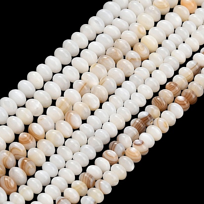 Natural Freshwater Shell Beads Strands, Rondelle