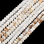 Eau douce naturelle de coquillage perles brins, rondelle